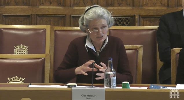 Clea Harmer speaking at the House of Lords Pre-term Birth Committee inquiry into the prevention and consequences of pre-term birth.   