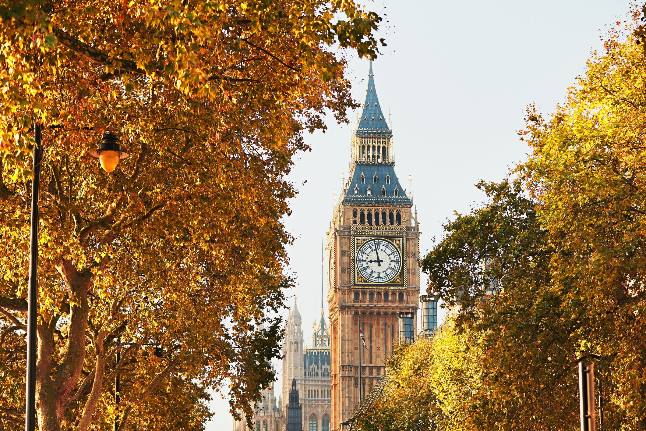 Big ben and parliament surrounded by trees. 