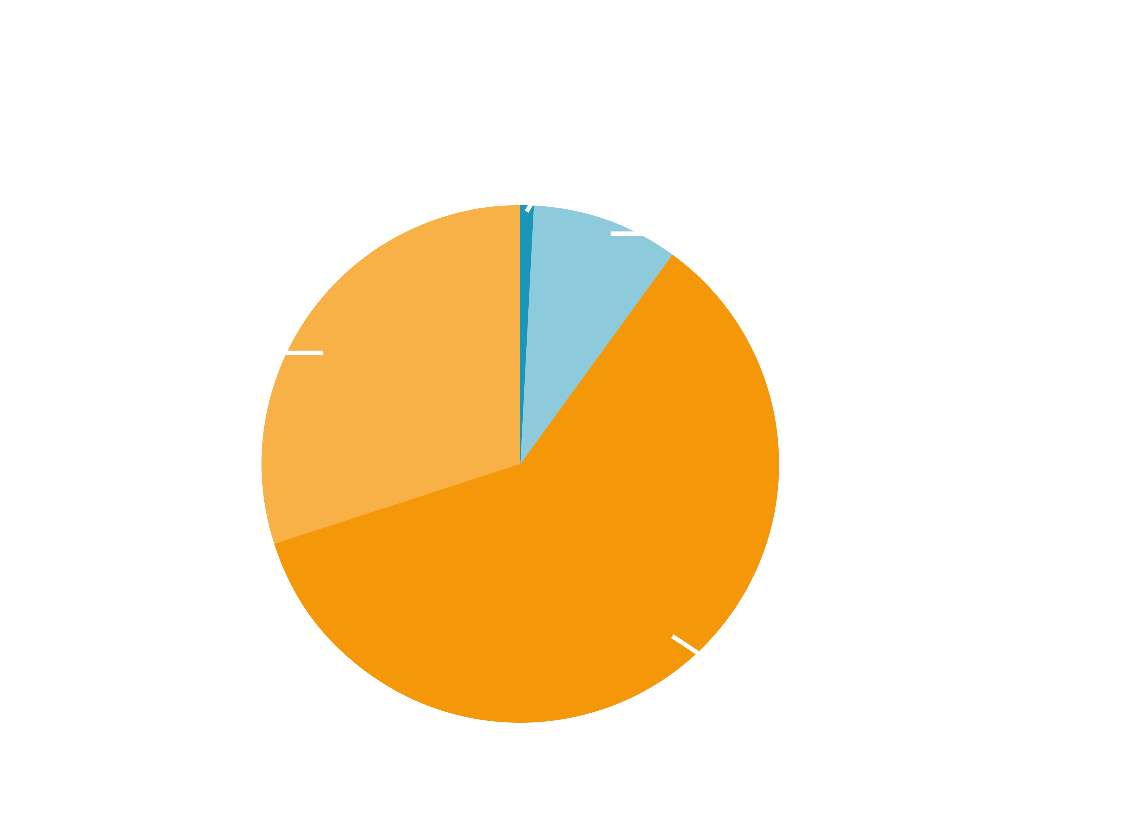 Split of income pie chart. Donations from supporters and Gift Aid 30 per cent. Government and statutory bodies 0 per cent. Training, membership and shop 1 per cent. Corporate Grants and Trusts 9 per cent. Fundraising events and activities 60 per cent.