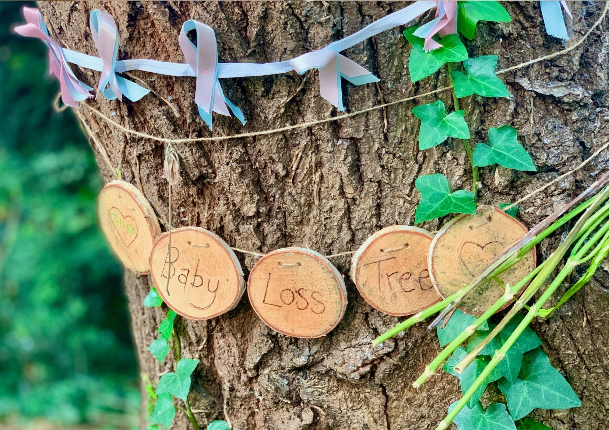 Baby Loss Tree with Pink & Blue ribbons during Baby Loss Awareness Week.