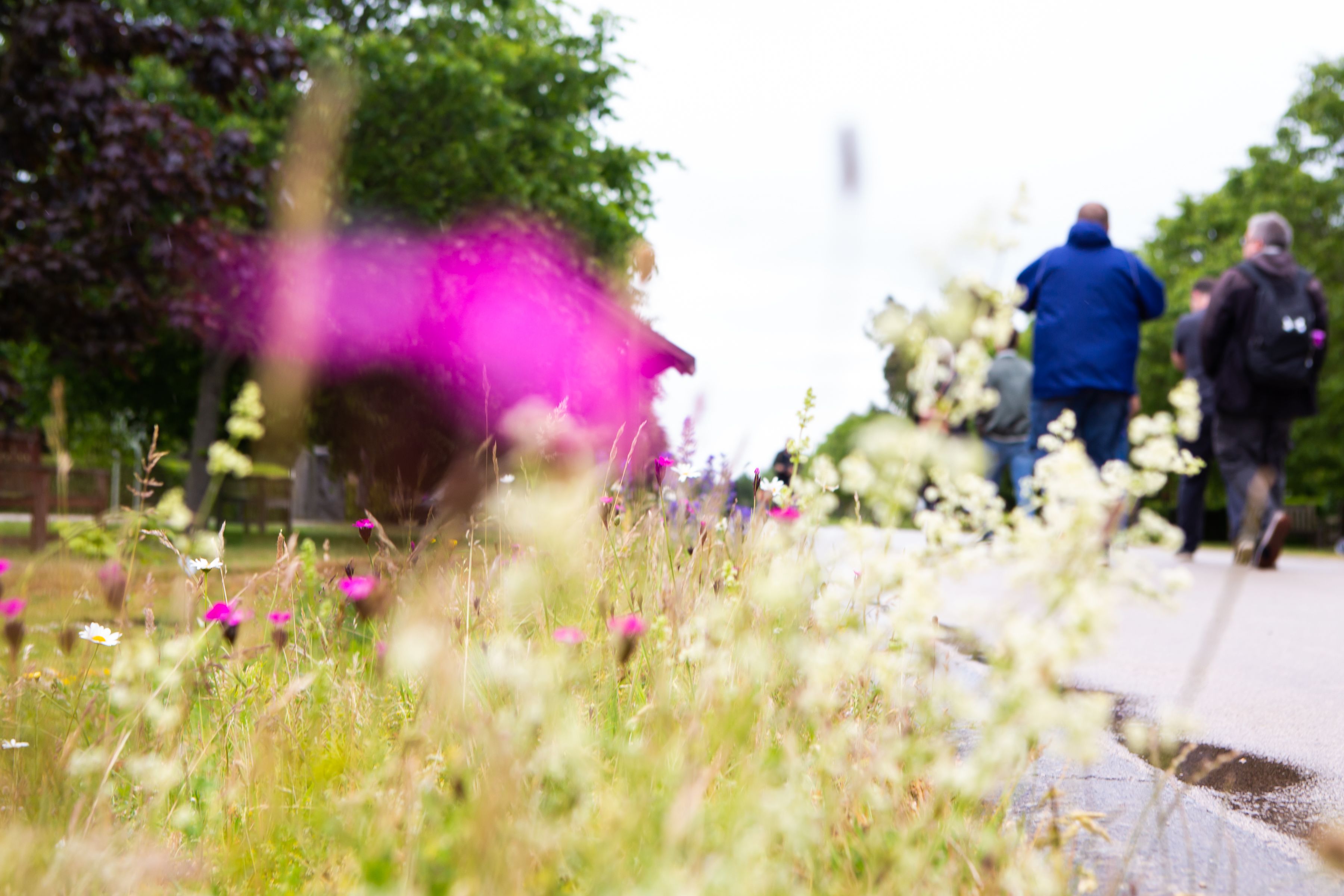 Group of dads walking and talking during the Sands Garden Day event.