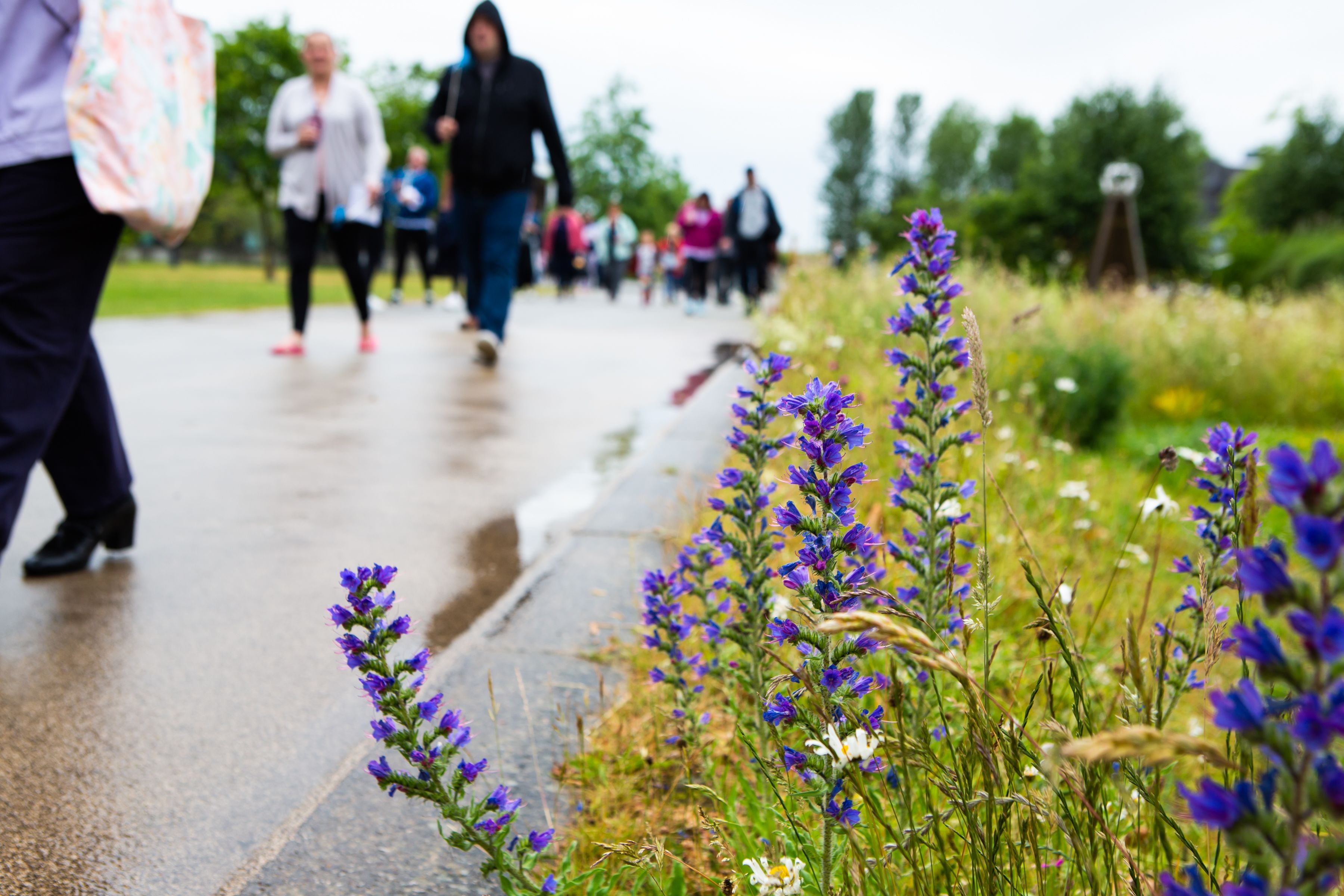 Families walking during the Sands Garden Day Remembrance event.