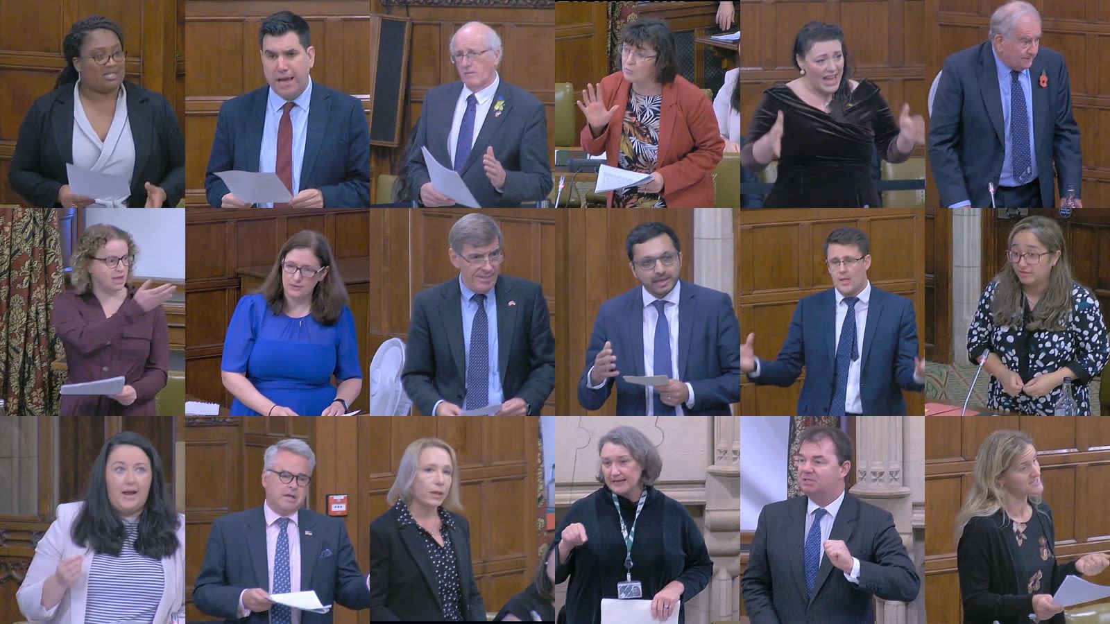 Photo Collage of MPs talking about Baby Loss in Parliament.