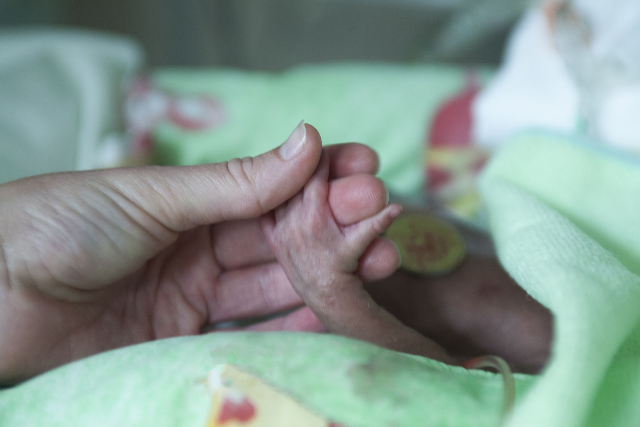 Parent holding the hand of their baby in a hospital bed.